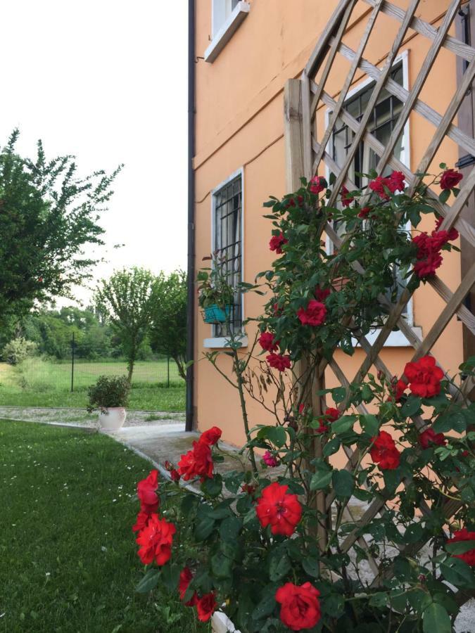 Il "Green " In Giardino Ferrara Exterior foto